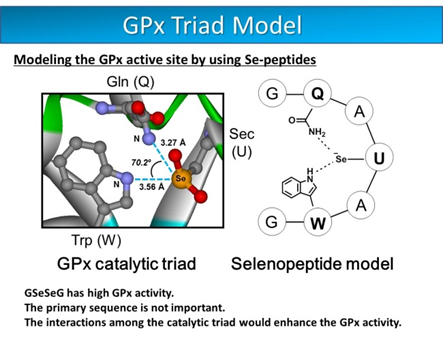 gpx_models