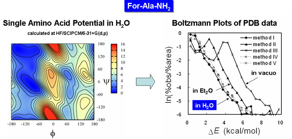 single amino acid potentials